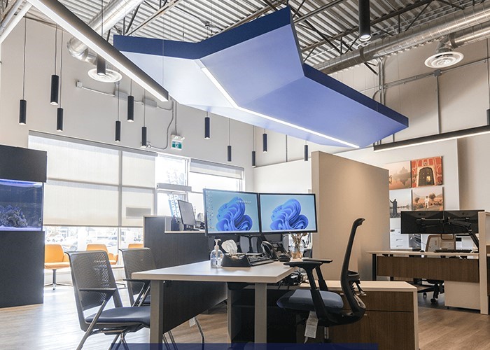 Addressing Space Constraints: Optimizing Efficiency Through Office Renovation