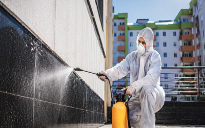 Are Commercial Properties at Higher Risk? How Mould Remediation Services Help!