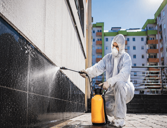 Are Commercial Properties at Higher Risk? How Mould Remediation Services Help!