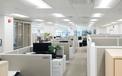 Can a Renovation Contractor Reinvent Your Office Without Shutting Down Operations?